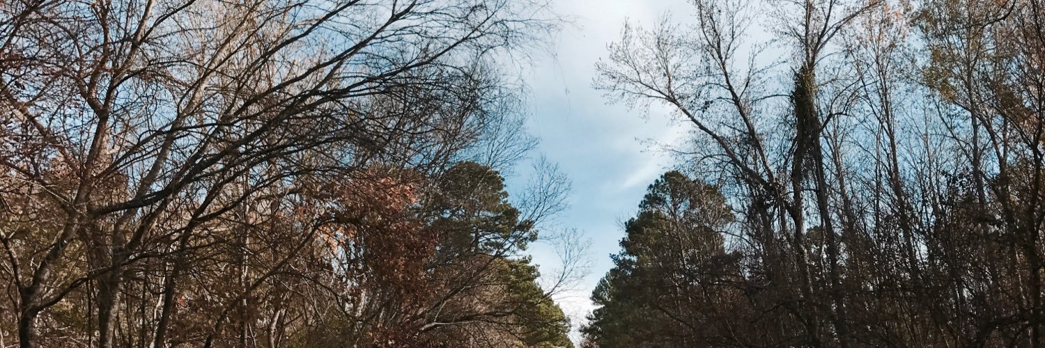 savannahgraacce's profile banner image