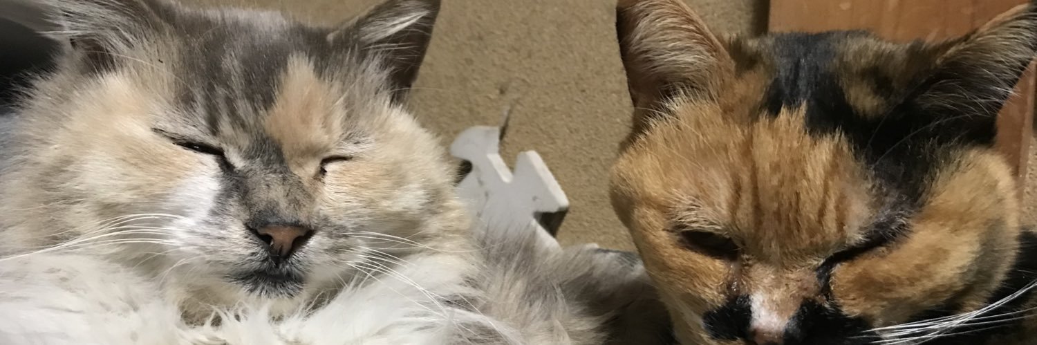 gone_OJI's profile banner image
