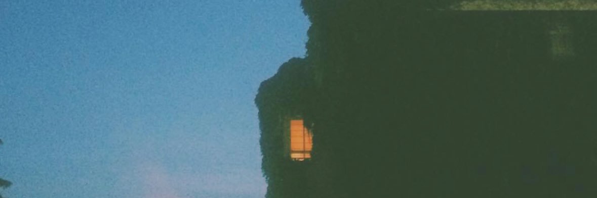 Pedro J. Lacort banner