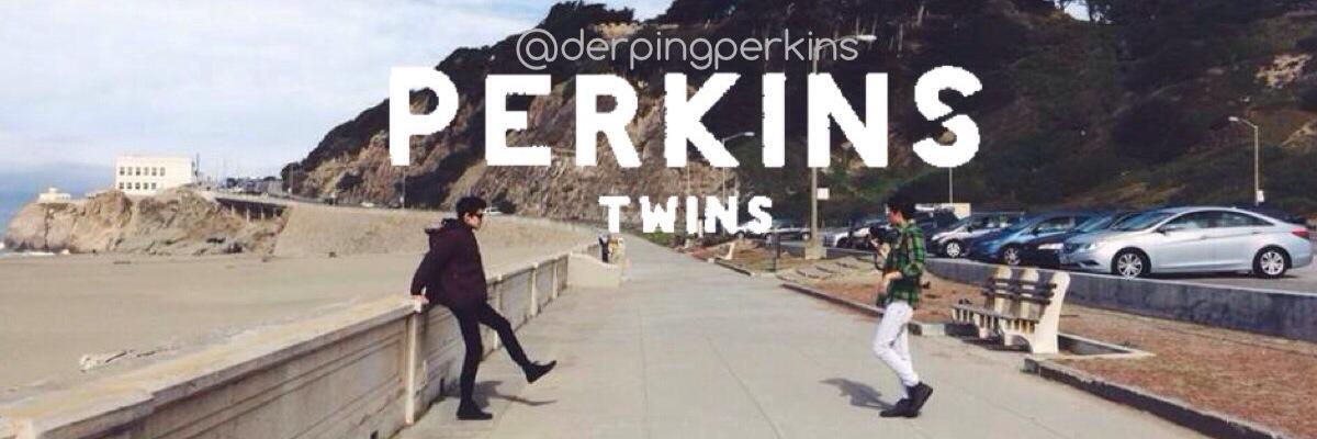 derpingperkins's profile banner image