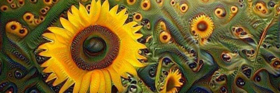 GoBakToSeaWorld's profile banner image