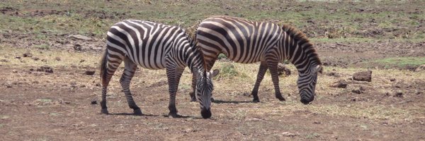 BirgitMW23 Profile Banner