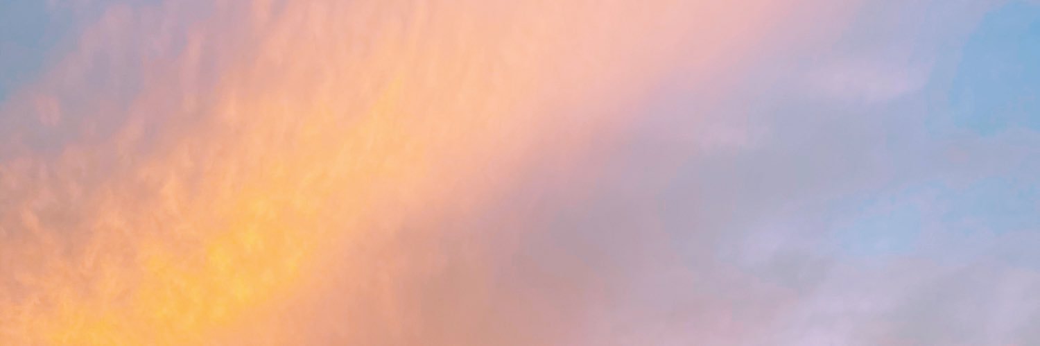 littlejpup's profile banner image