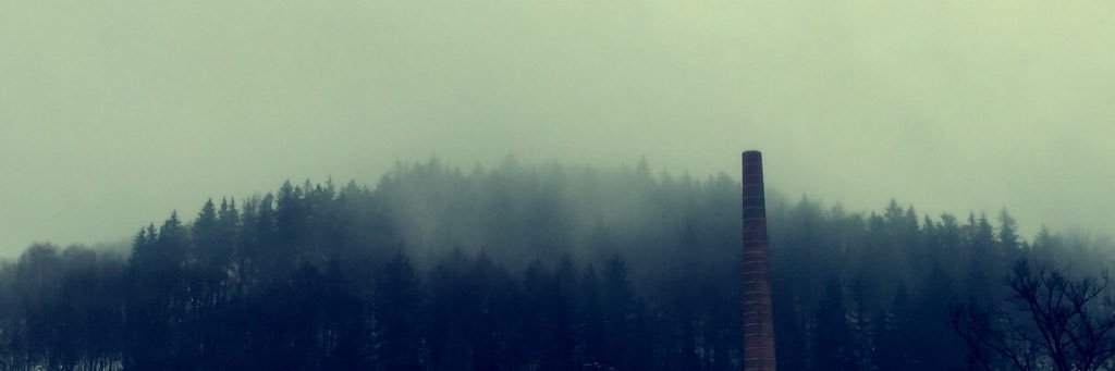 flo banner