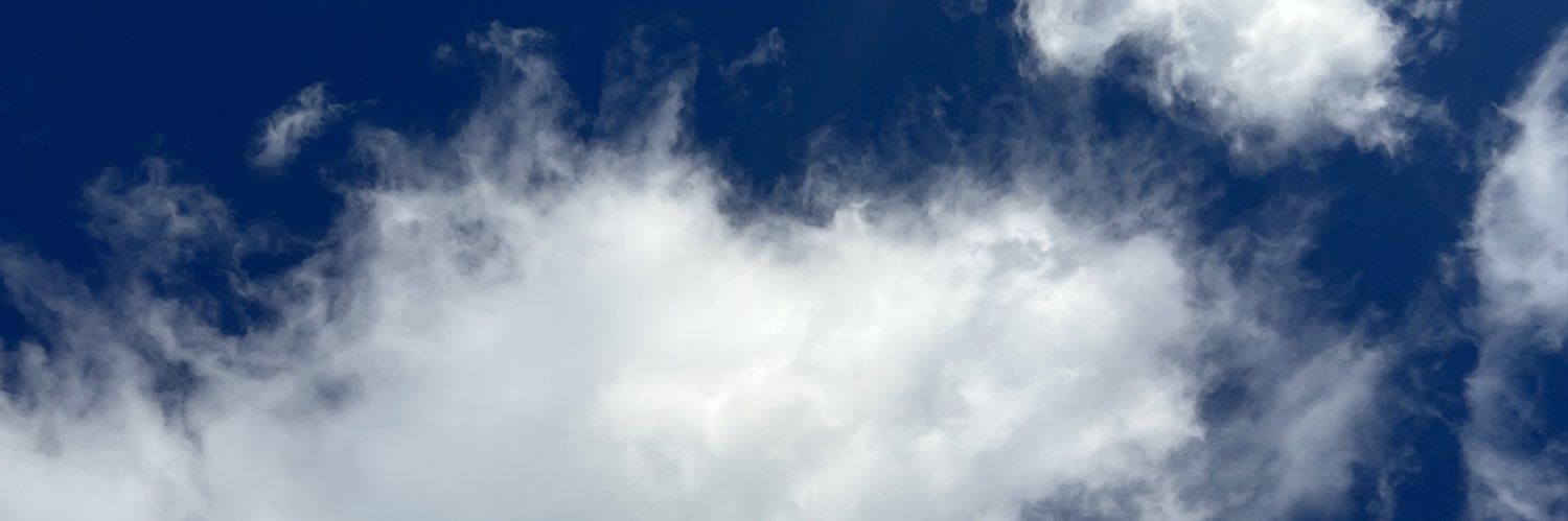 rs1018t's profile banner image