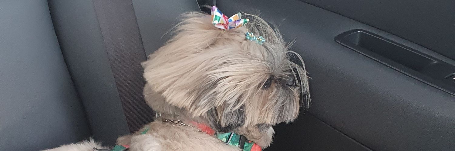 reisvini__'s profile banner image