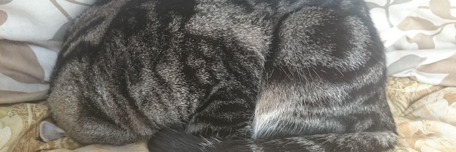 Tran_gram's profile banner image