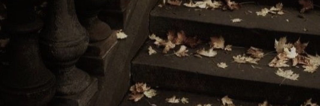 FOOLR0SES's profile banner image