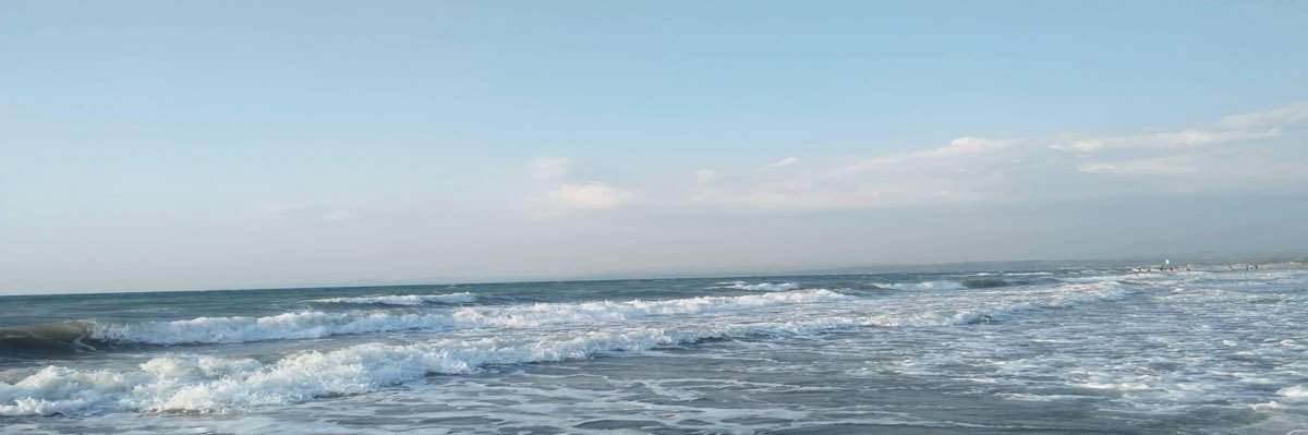 roseardently's profile banner image