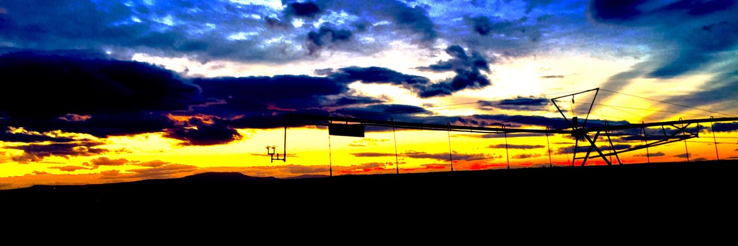 rickee_lee's profile banner image