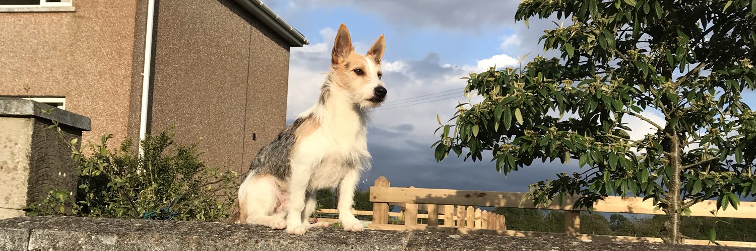 AlyR21's profile banner image