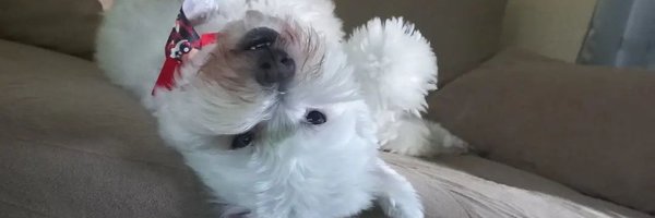 isasants_ Profile Banner