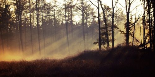 jakeRPGKLM2's profile banner image