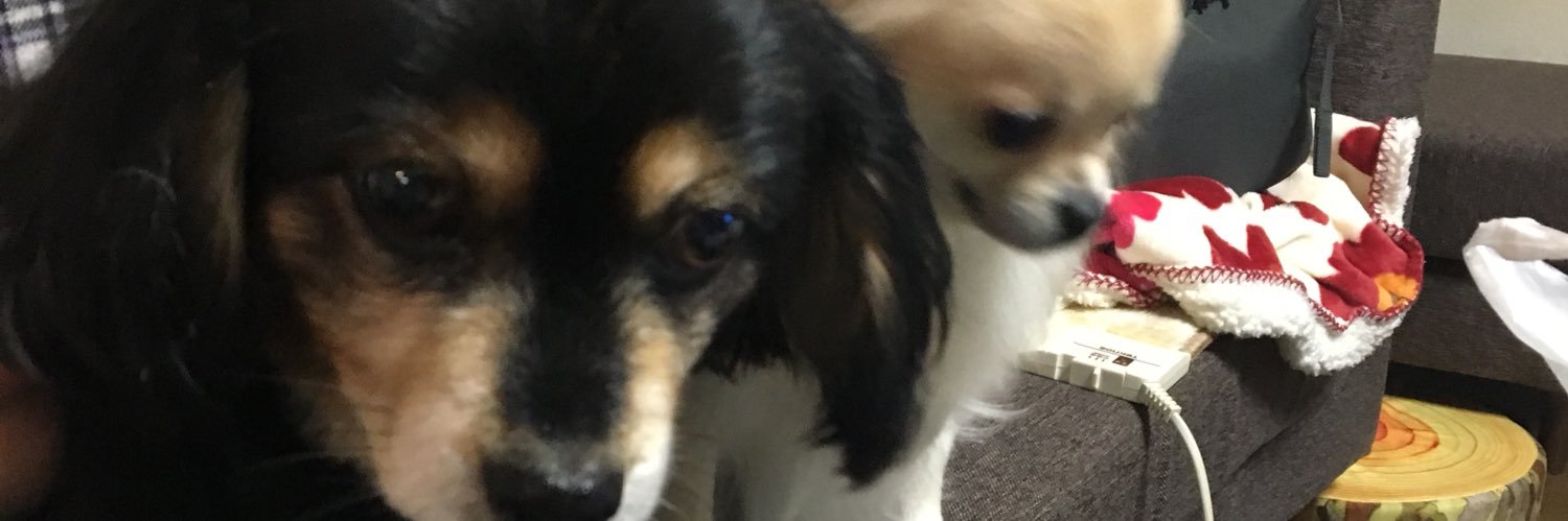 m_sgmt07's profile banner image