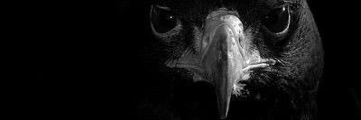 _alsayegh_'s profile banner image