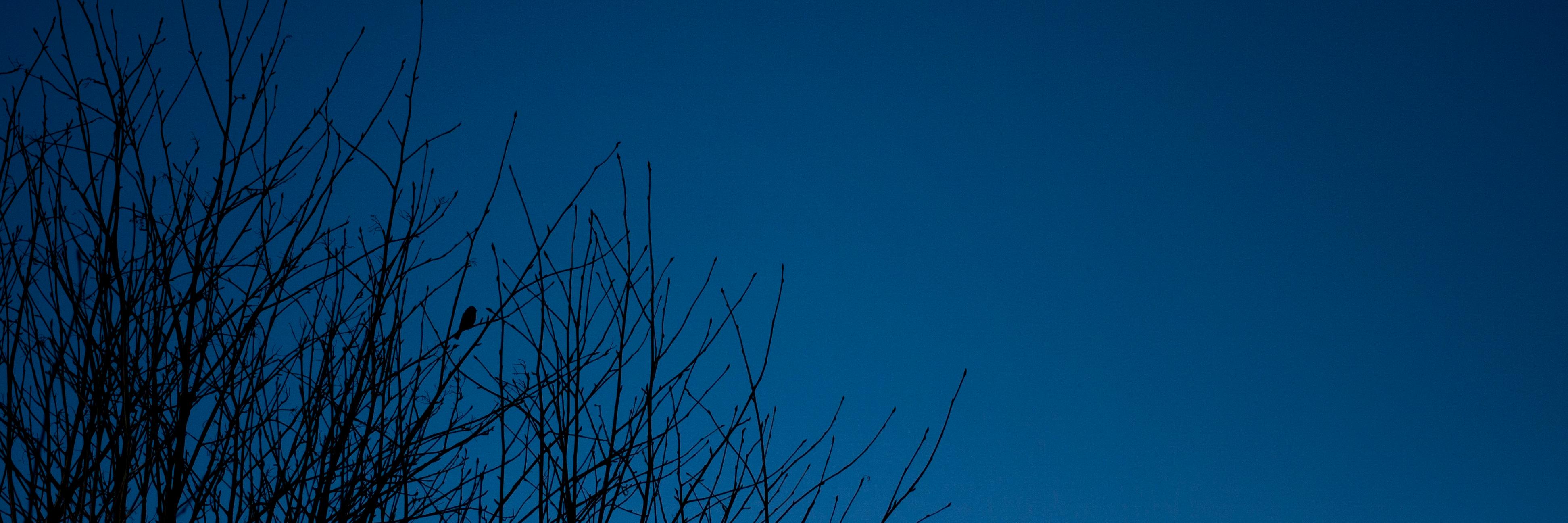 MesiSini's profile banner image