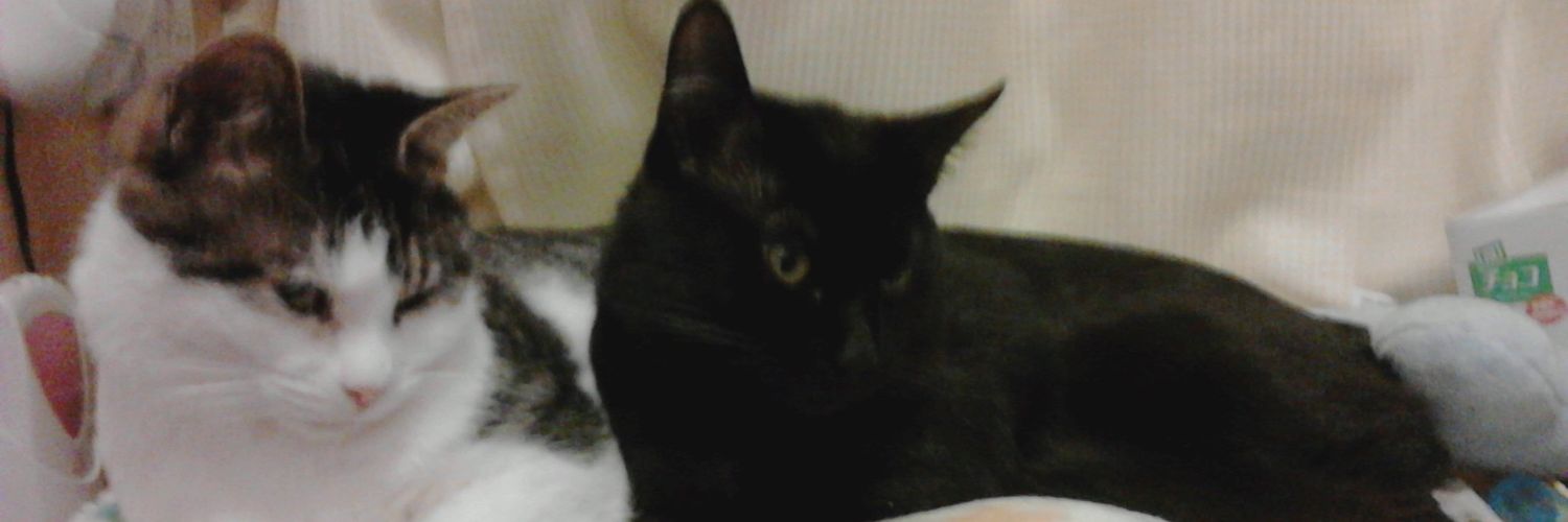 kuro787chan's profile banner image