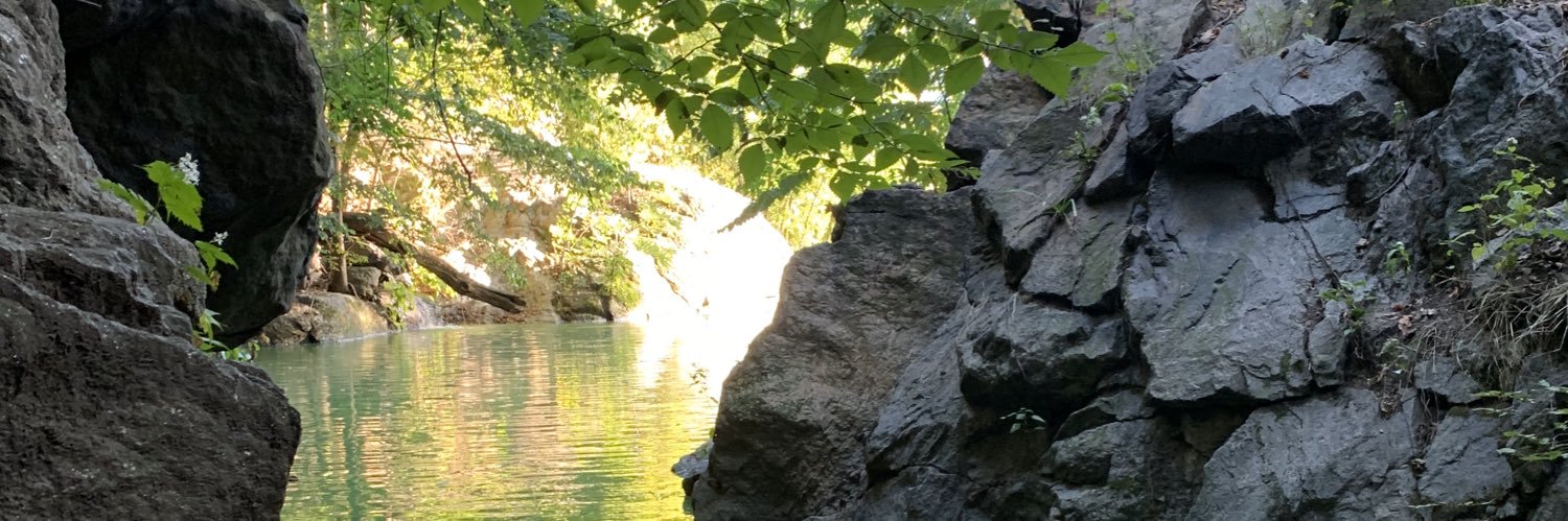 dangoldfish's profile banner image