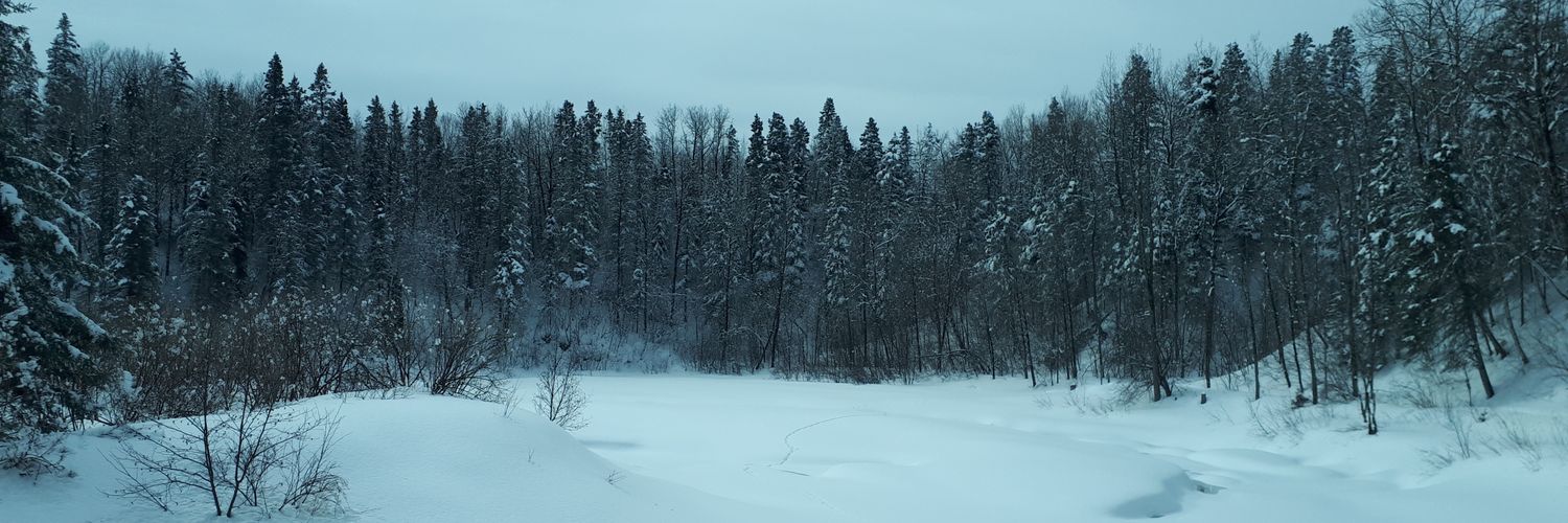 Isabelle Levesque banner