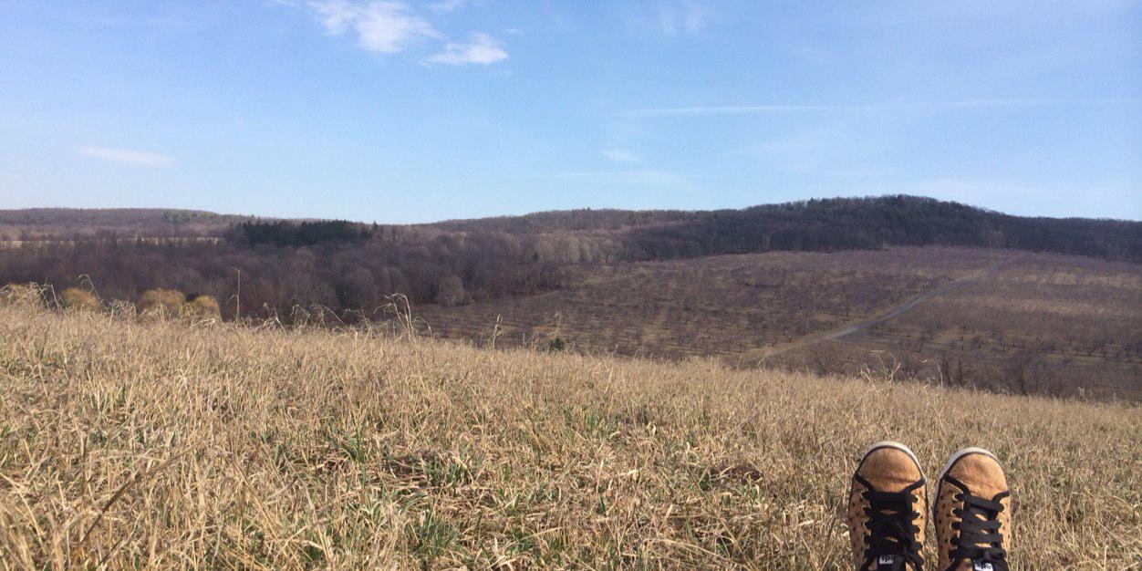 hannahpoo's profile banner image