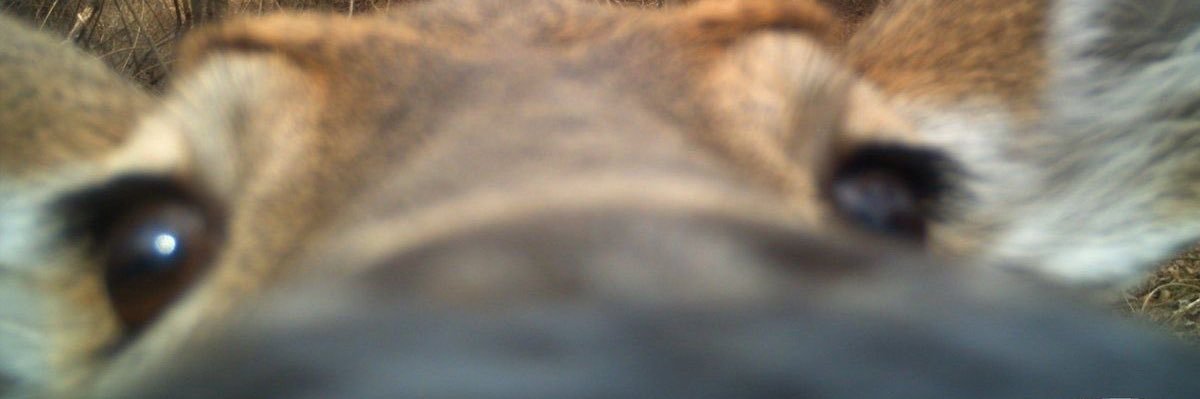 SAKECLUBDEFANS's profile banner image
