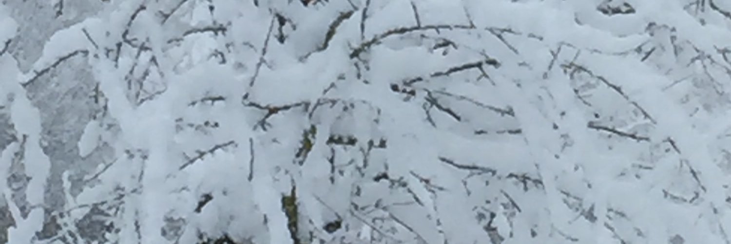 Matthew Bawden FRSA banner