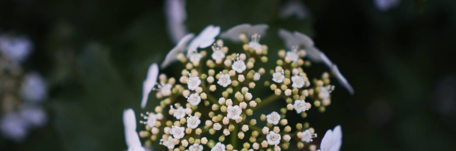 TOObitweb3's profile banner image