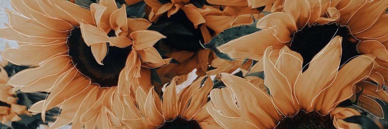 emlahhh's profile banner image