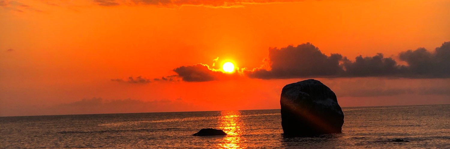 mrteminee's profile banner image