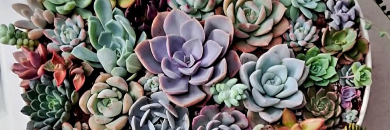 angelikitavelez's profile banner image