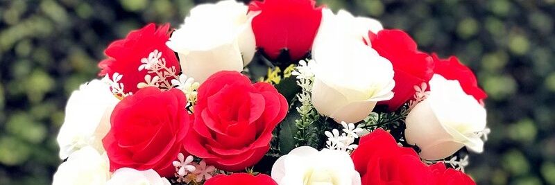 earleneJenkin's profile banner image