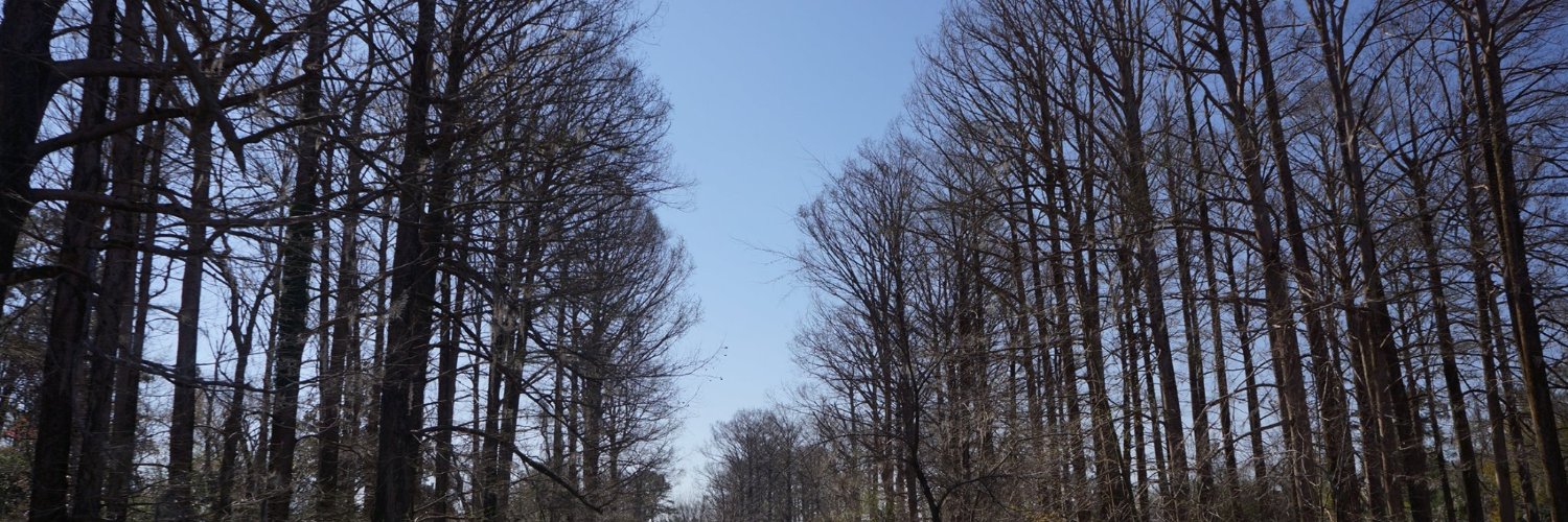 kiki_1277's profile banner image