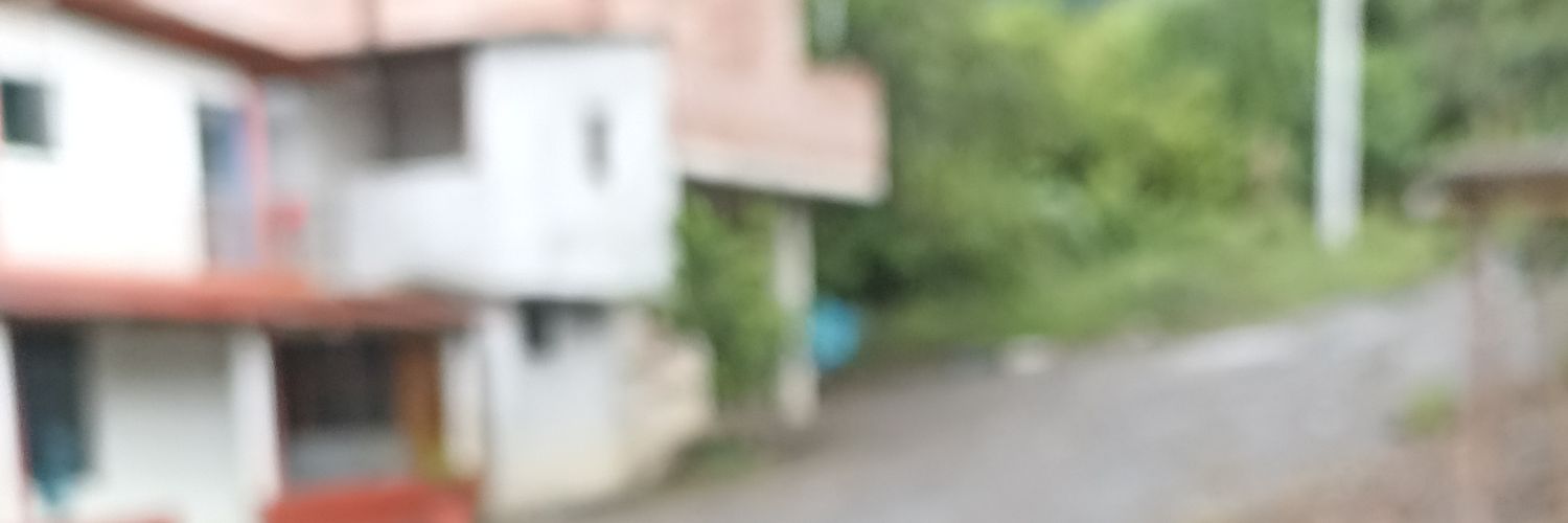 nombredechoro's profile banner image