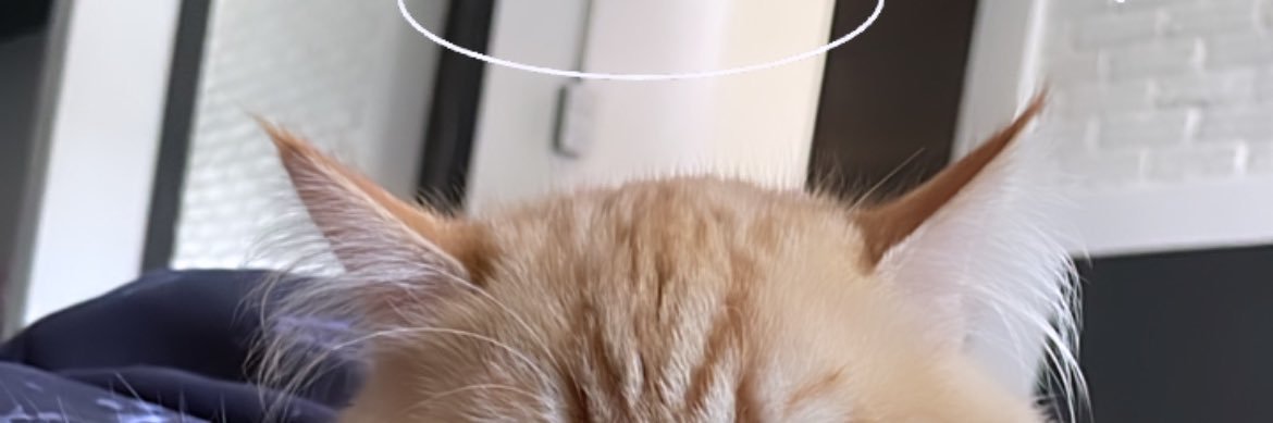 JuJiranan's profile banner image