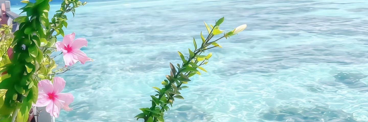 buautys's profile banner image