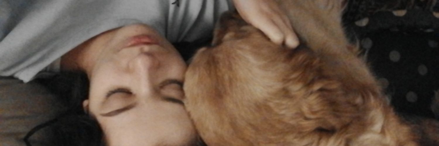 lau_arbraz's profile banner image
