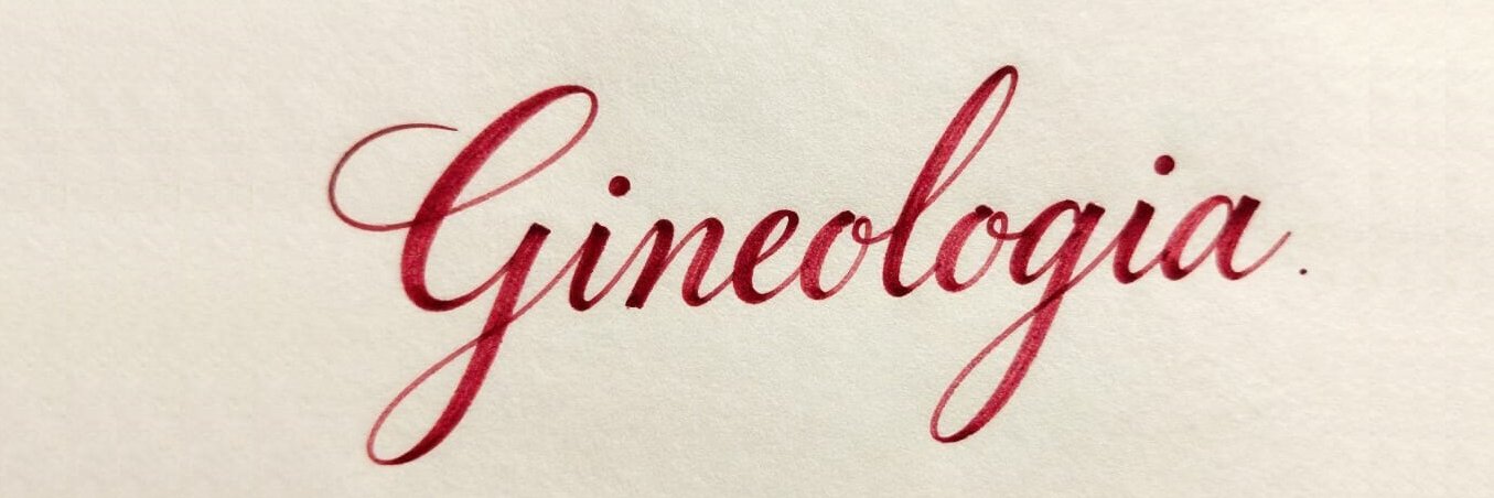 SimonePereirah's profile banner image