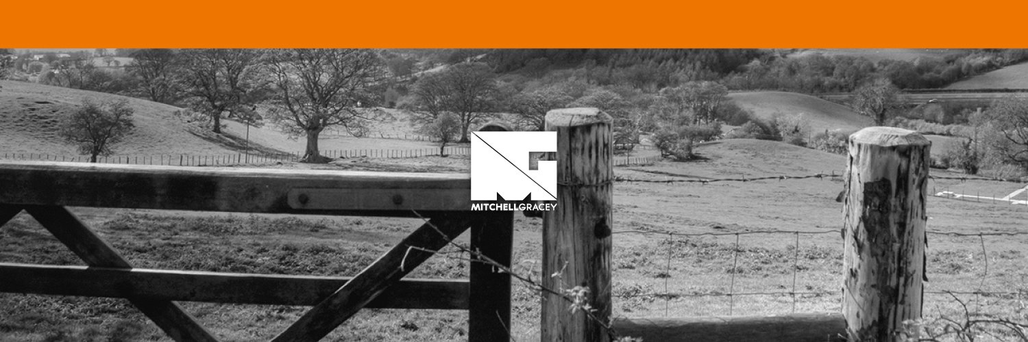 MitchellGracey's profile banner image