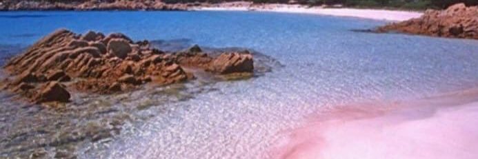 GiadaPizzin's profile banner image