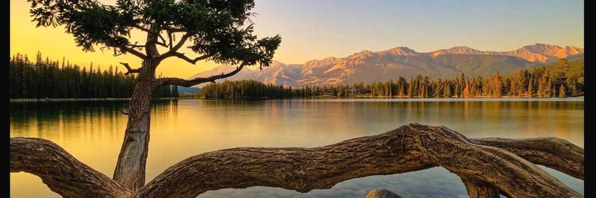 nurani_15's profile banner image