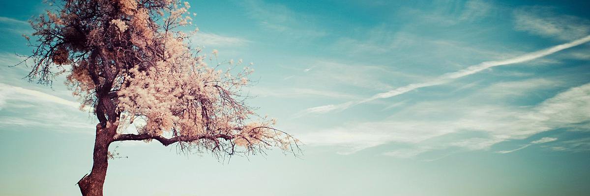 Mirit Lugassi banner