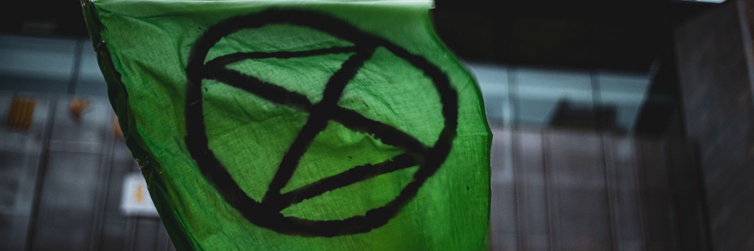 KimRebel4Earth banner