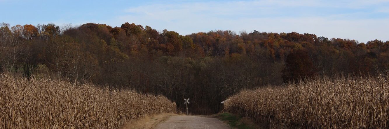morgan_leidner's profile banner image