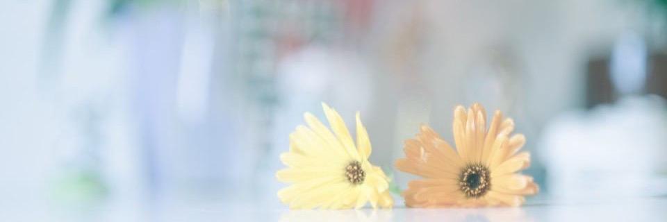 amnoS__Rei's profile banner image