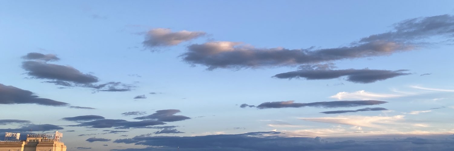 Soledad Flores Orellana banner