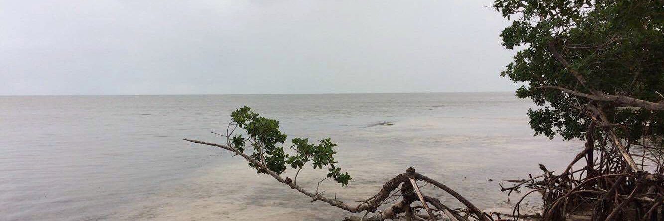 andrespz_'s profile banner image