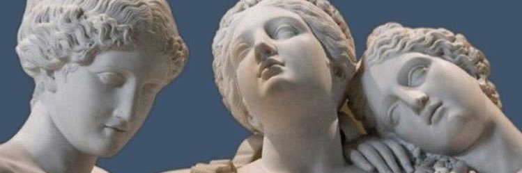 ROARIAGUI's profile banner image