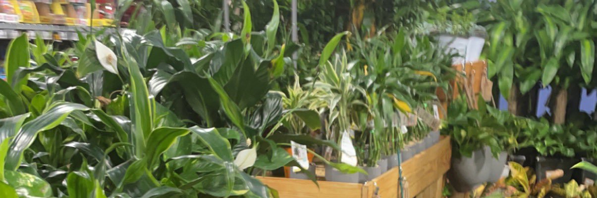 Teya banner