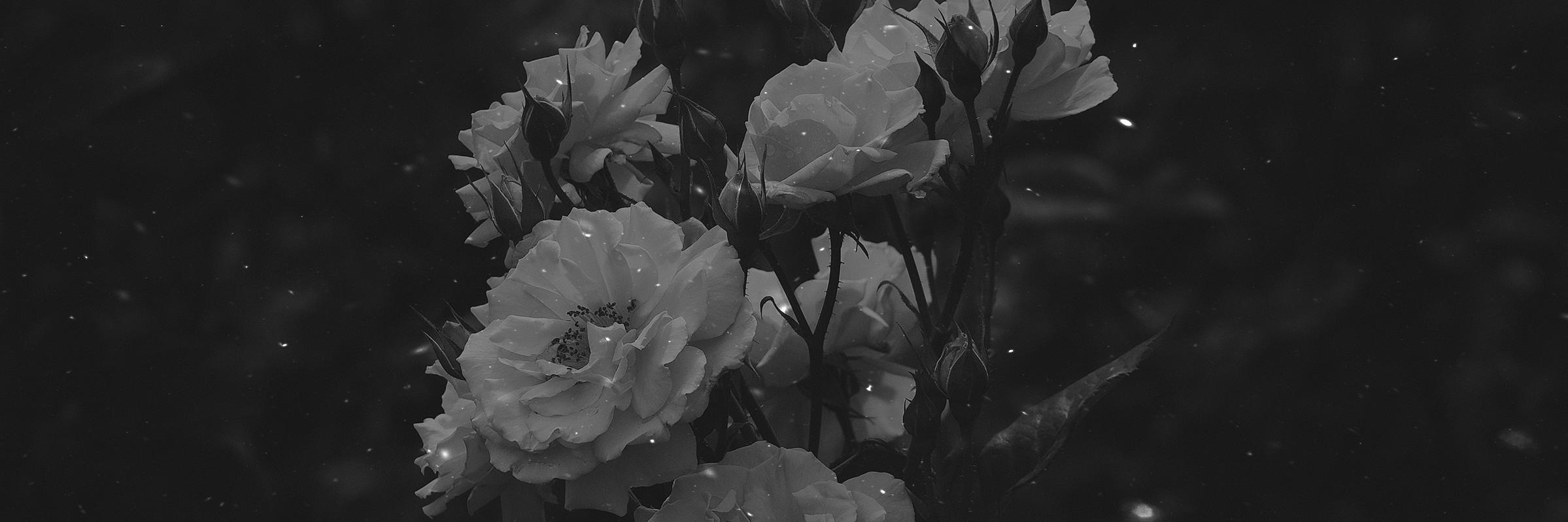 lazybonesbeats banner