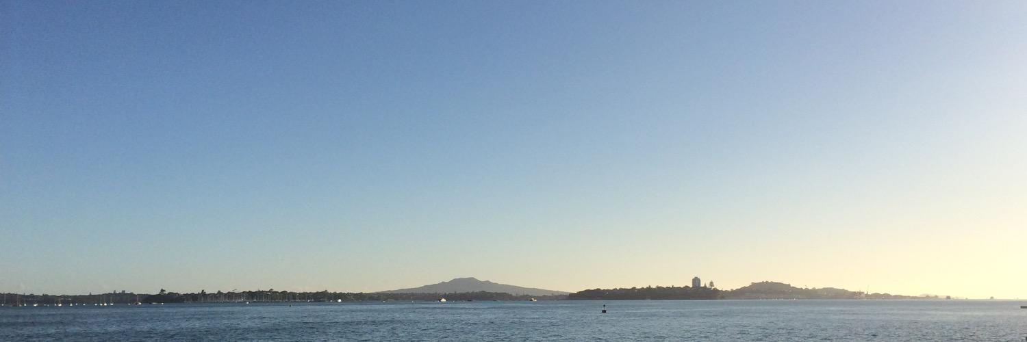 Laurent Antonczak banner